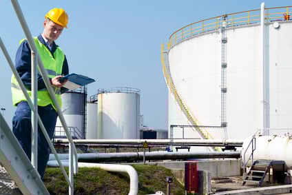 Consultant carrying out safety audits